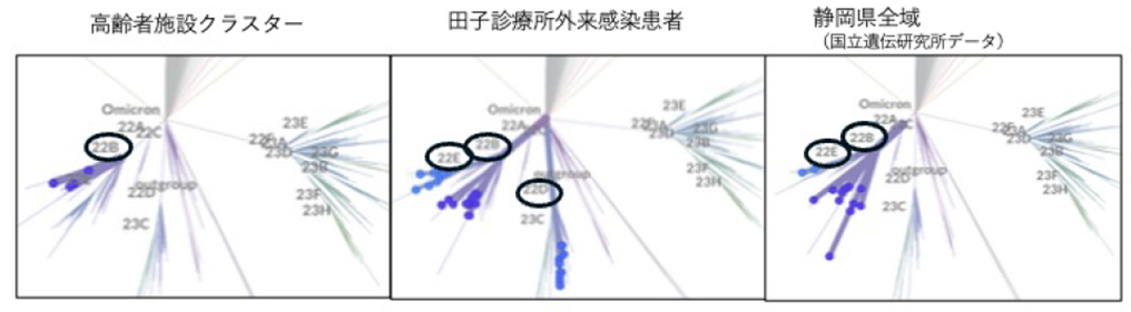 図3 施設クラスター,診療所外来患者,および静岡県全域におけるSARS-CoV-2ゲノムClade分類(2023年1月~2⽉)