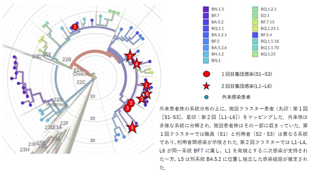 図4 外来患者と施設患者におけるSARS-CoV-2のPANGO lineage分類(2023年1月~2⽉)